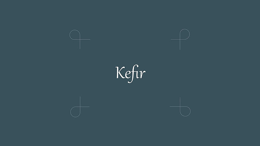 Make Kefir